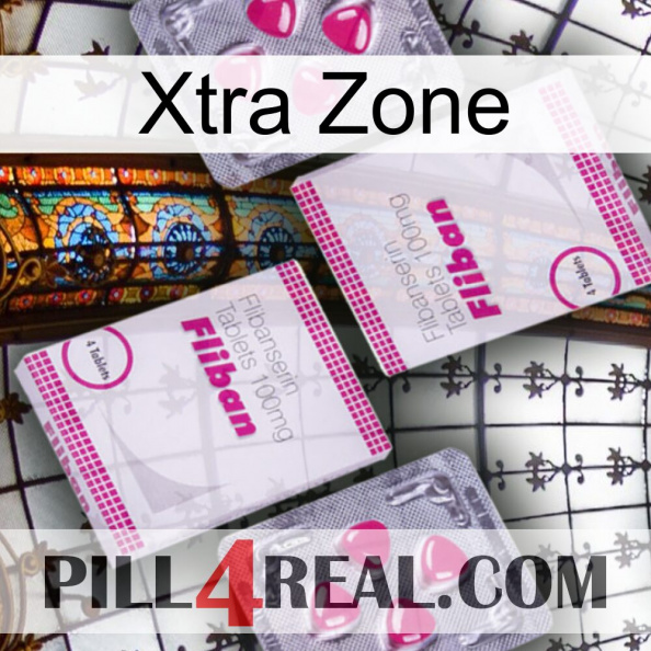 Xtra Zone 33.jpg